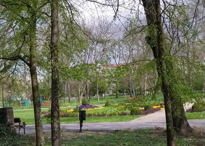 Studio Apartman Mir